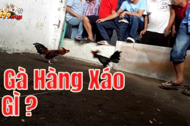 Khám Phá Bí Quy?t ?á Gà Hàng Xáo T? Cao Th? Vegas79