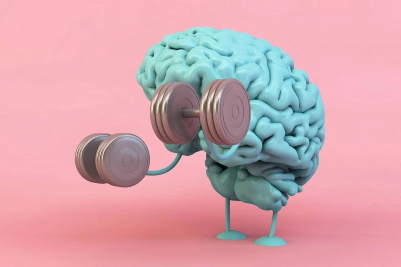 5 Simple Facts Nootropic supplements