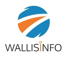 Website Development Services|Web Development Company|Wallis Info