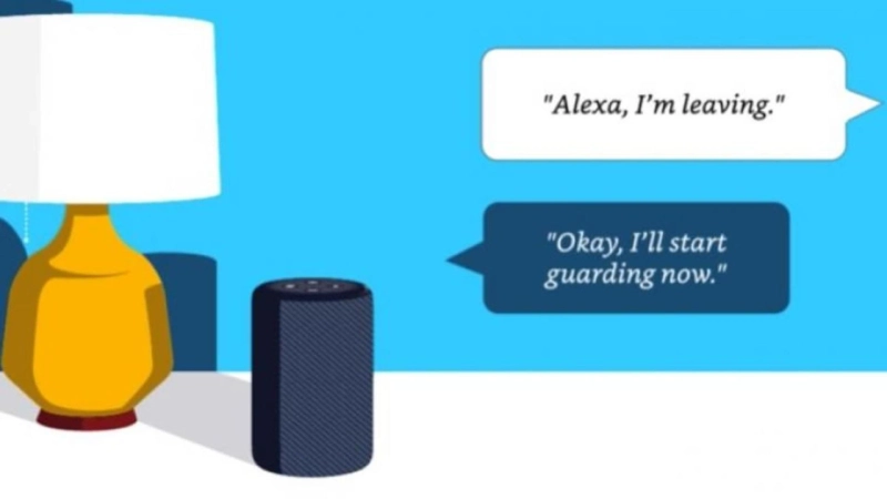 How to Setup Echo Dot with Alexa app?