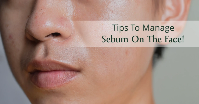 Why Is Sebum on the Face a Big Deal? Here’s What You Need to Know You
