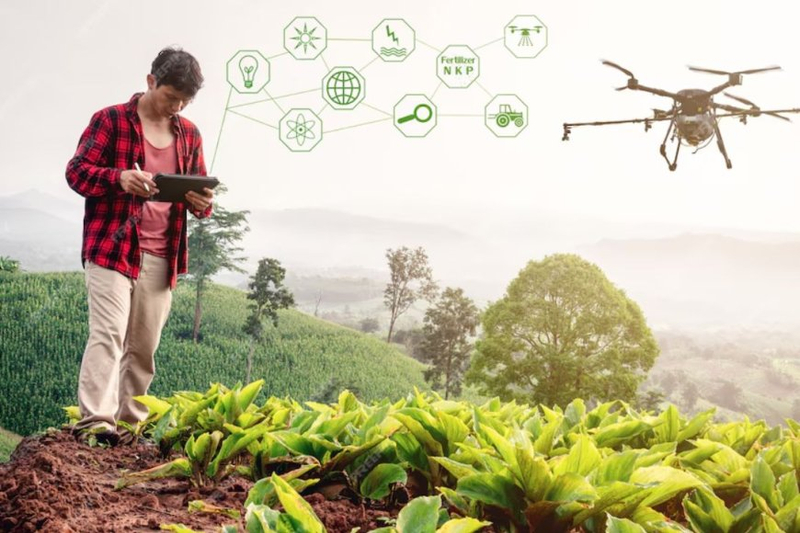 How IoT is Revolutionizing Agriculture?