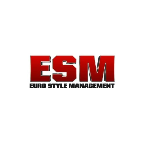 Euro Style Management: Redefining Organizational Leadership