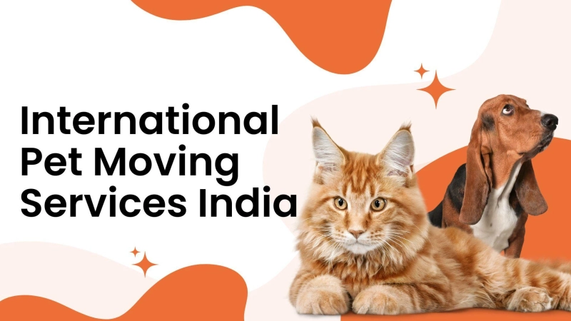 International Pet Moving Services India