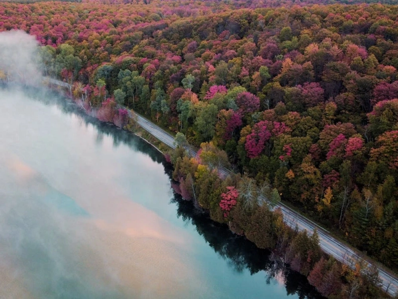 Why Group Travel Van Rentals in Michigan Are the Smartest Way to See Pure Michigan in 2026