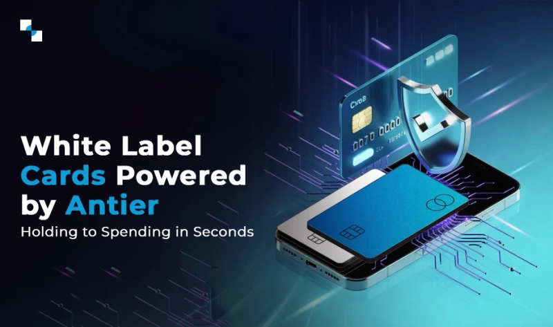 White Label Crypto Cards Unlocks Instant Spending Power Now