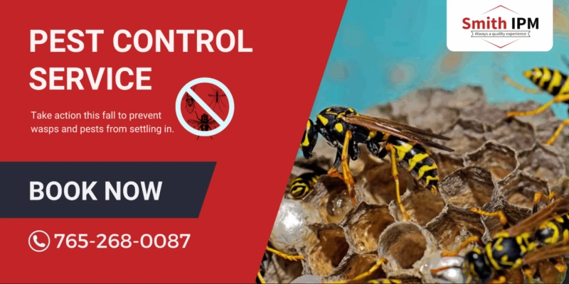 Safe & Local Pest Control in Lafayette: Why Choose Smith IPM
