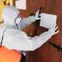 10 Most Common Pests & How to Tackle Them