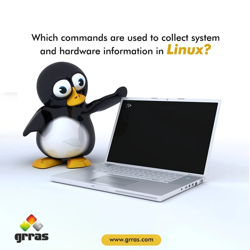 Which Commands are used to Collect System and Hardware Information in Linux? Here are Five you Need to Know About!