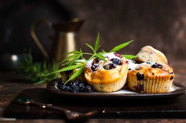 Cannabis Edibles and Sleep: How Different Strains Can Influence Your Rest