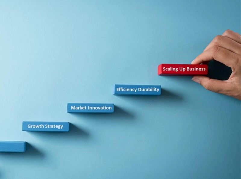 Scaling Your Business with Agile Logistics: Tips for Growth