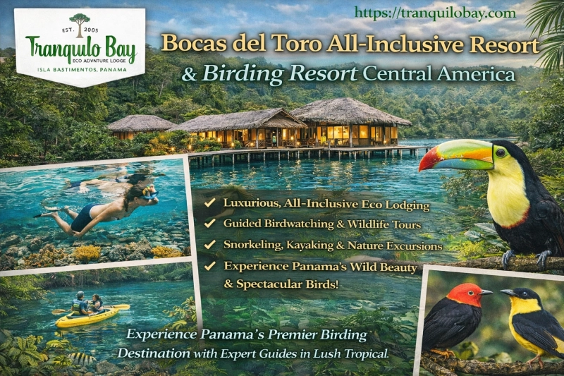 Bocas del Toro All Inclusive Resort & Birding Resort Central America Experience at Tranquilo Bay
