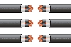 12 AWG Solar PV Multi Conductor Tray Cable: Broken Down