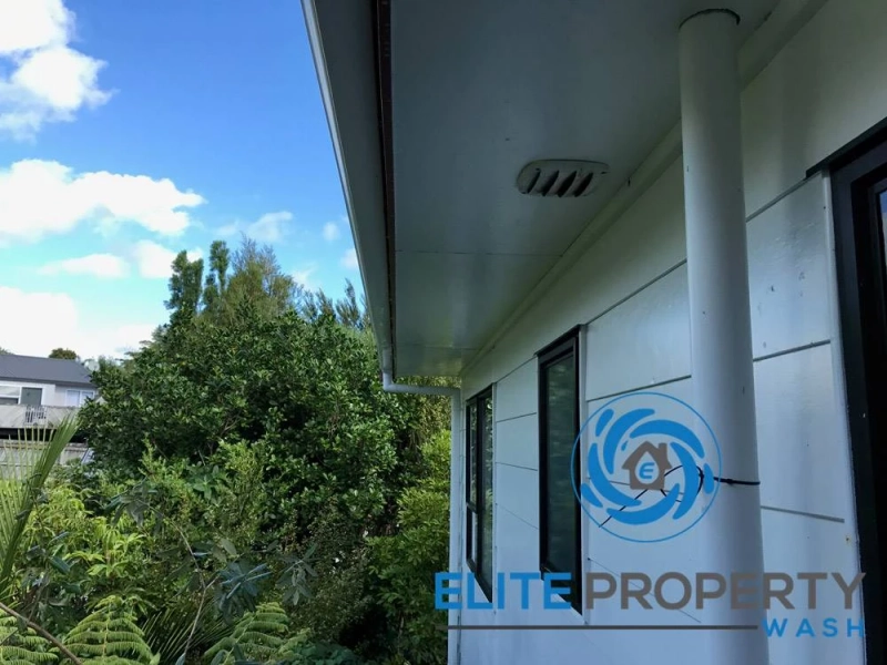 Why Professional Mould Removal Is Essential