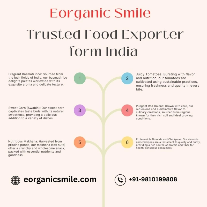 Savor the Authentic Taste: Journeying with a Trusted Food Exporter from India