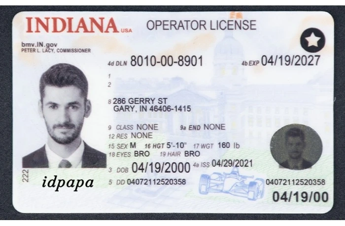 Innovative IDs: Adding Flair to Novelty ID Cards!
