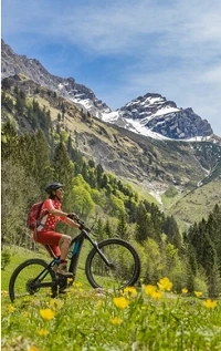 Fat Bikes: The Ideal Choice for Edmonton's Snowy Trails