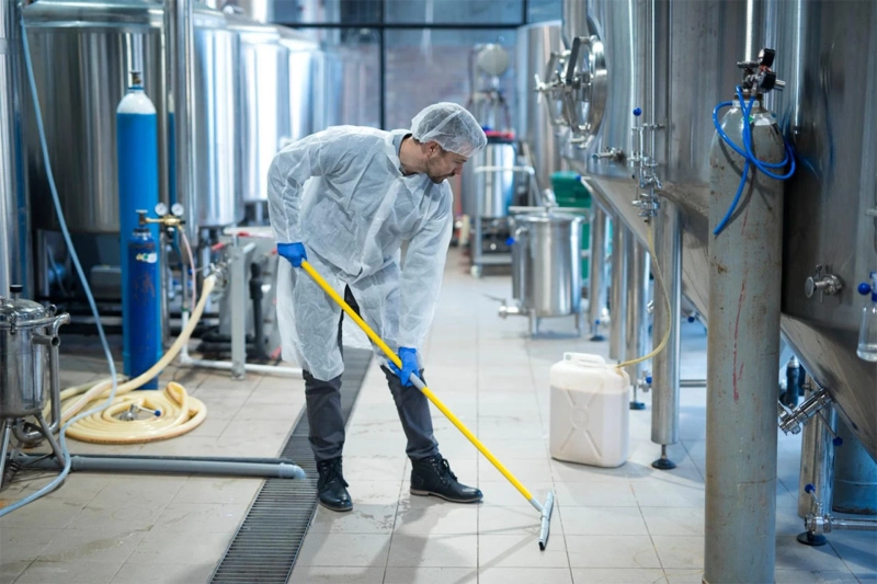DIY vs. Professional Carpet Cleaning