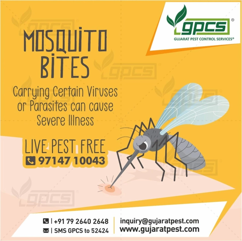 Tips on Mosquito Protection and Control