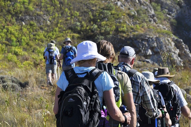 Discover South Africa’s Wild Beauty with Green Mountain: A Complete Guide to 4 Day Slackpacking Hiking and the Iconic Blue Mountain Trail for Travelle