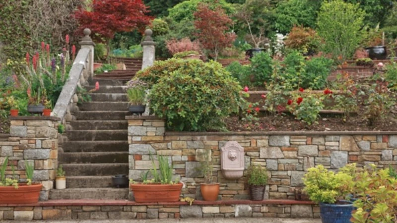 Landscaping Trends: What's Hot in Outdoor Design