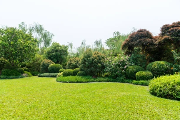 Elevate Your Outdoor Space: Unveiling the Best Landscaping Contractors in Los Angeles