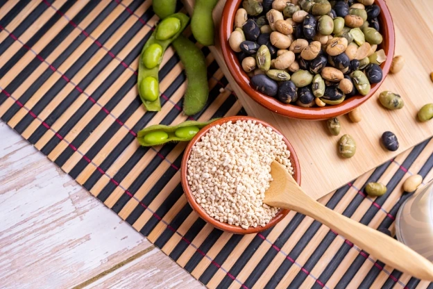 How to Use Lecithin Granule | Giiava