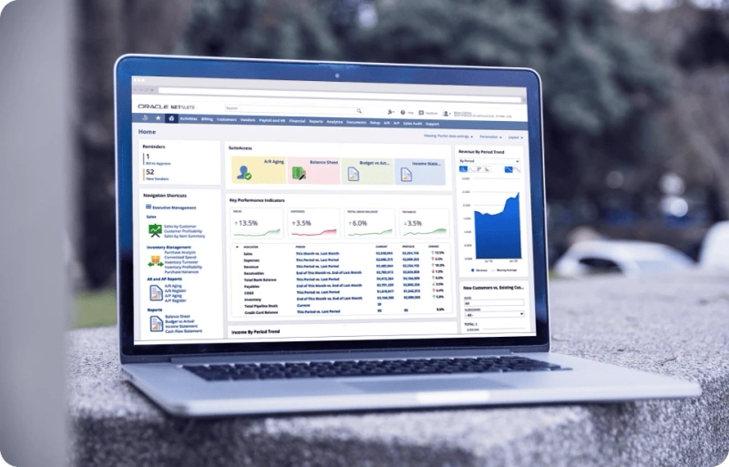 Leading ERP Consulting Companies in Dubai - Nijatech