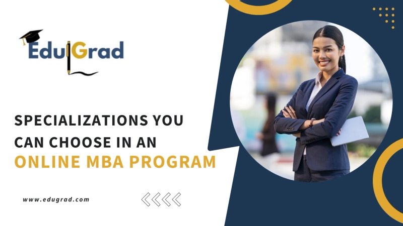 Specializations You Can Choose in an Online MBA Program