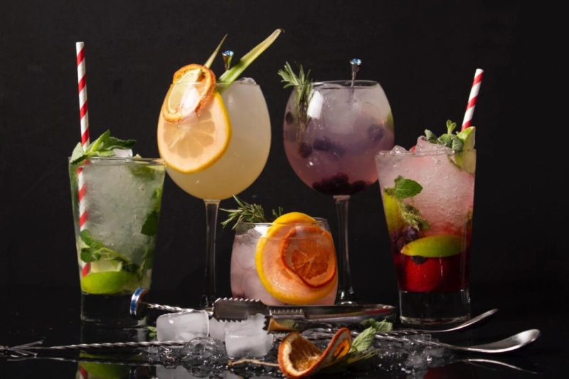 Gin Market Size, Share, Growth, Outlook and Demand During 2023-2028