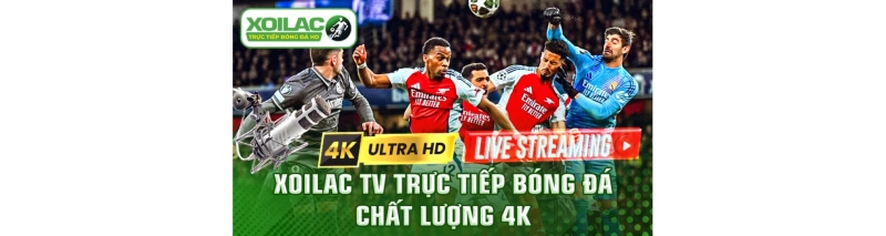 friendsoftuckerman.org giả mạo - lừa đảo người dùng