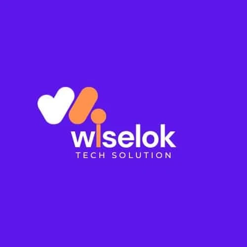 Web Design Company In Jaipur - Wiselok Tech Solution