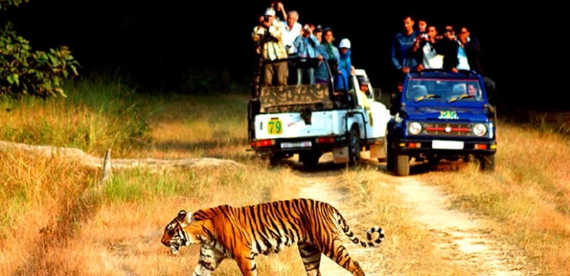 Top 15 Places To Visit In Jim Corbett