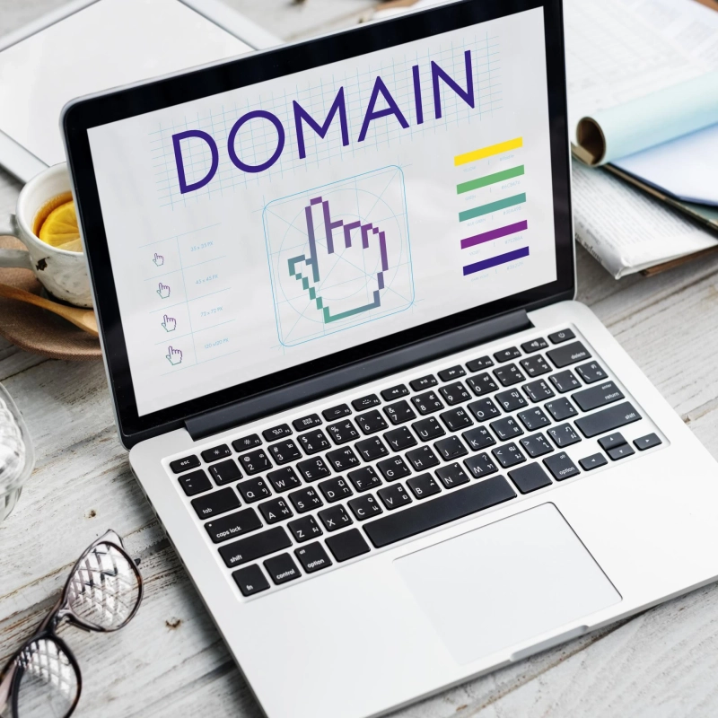Unlocking the Power of Domain Age Checker Tools for SEO Success