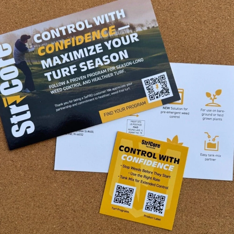 Postcard with Removable Magnet: A Smart Way to Boost Your Direct Mail Campaigns