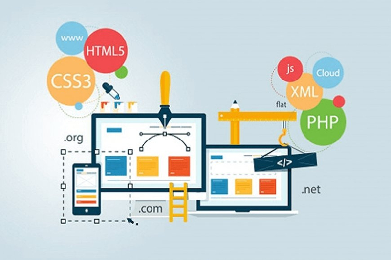 The Evolution of Website Development in Delhi