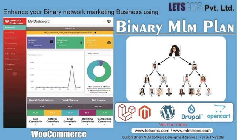 Binary MLM Plan Code & Scripts | Custom CMS Development Services