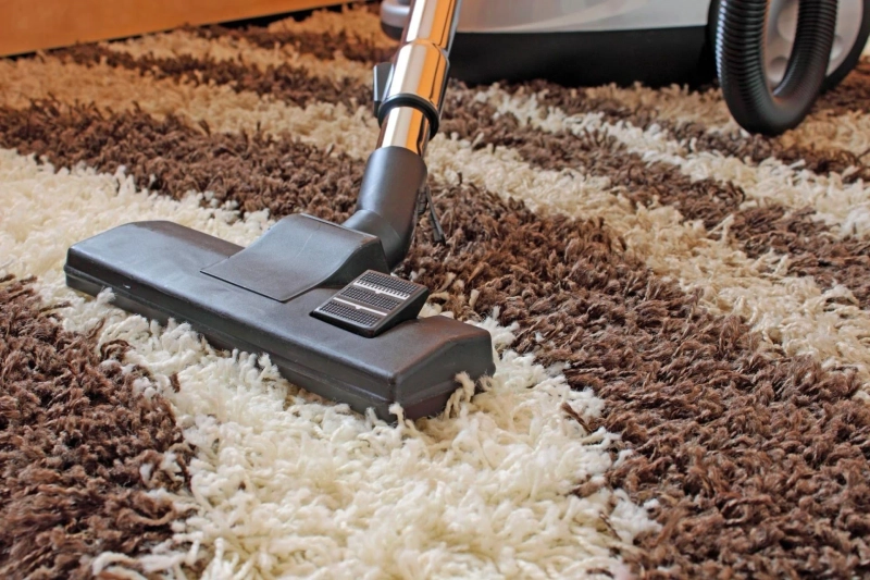 How to Choose the Best Carpet Cleaning Service for Your Needs