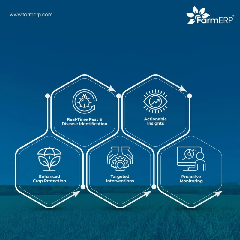 Optimizing Labor Use in Agriculture with Agritech Solutions