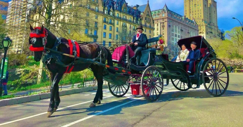 What Can You Expect from an NYC Horse Carriage Ride in Central Park