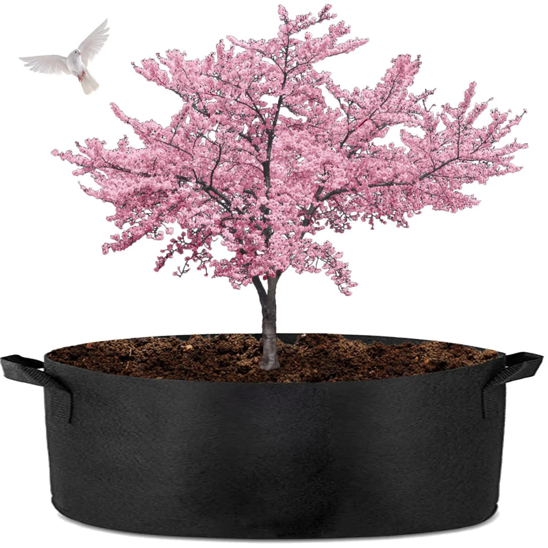 How to Plan Home & Garden Purchases for Long-Term Use