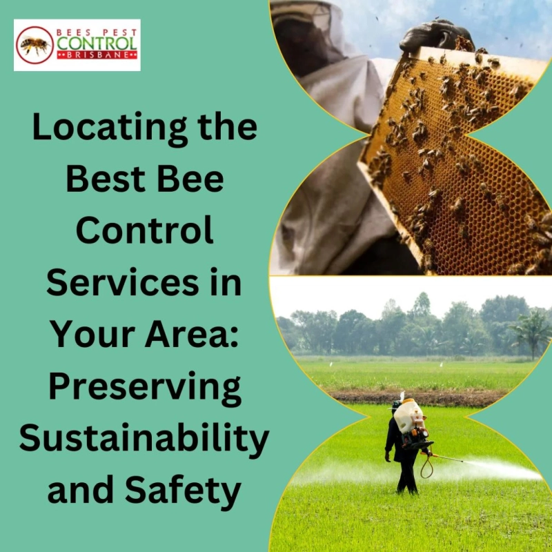 Locating the Best Bee Control Services in Your Area: Preserving Sustainability and Safety