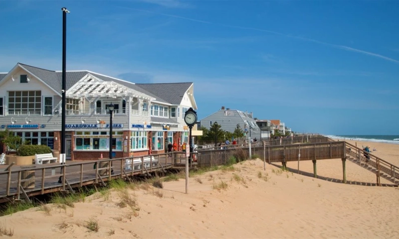 How Resort Destination Live Cams Boost Direct Bookings for Beach Hotels