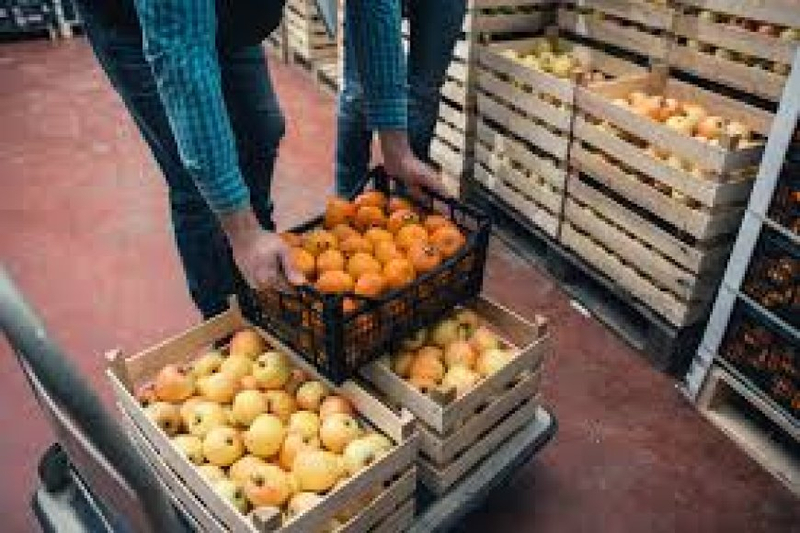 Sell Excess Food Inventory: Turn Surplus into Profit