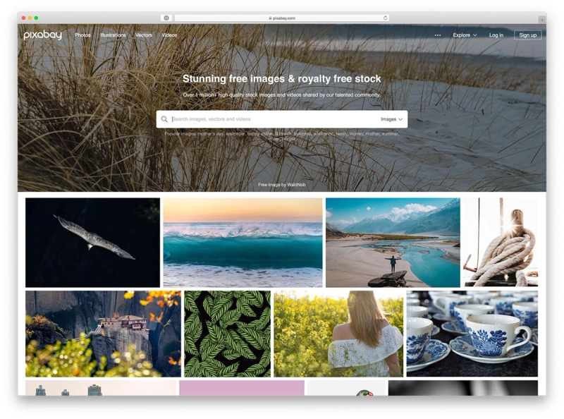 5 Best Sites to Download Stock Images in 2020