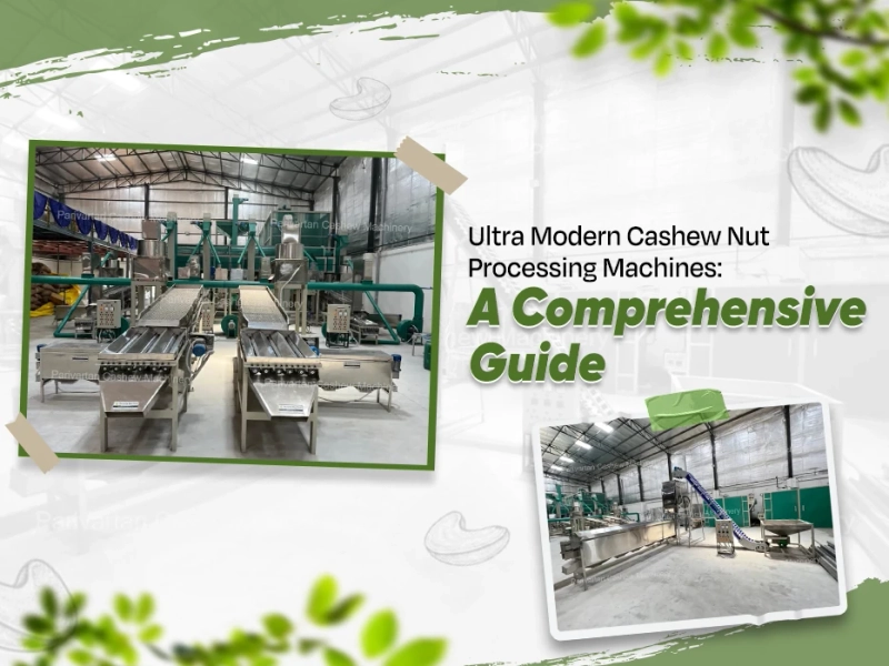 Ultra Modern Cashew Nut Processing Machines: A Comprehensive Guide