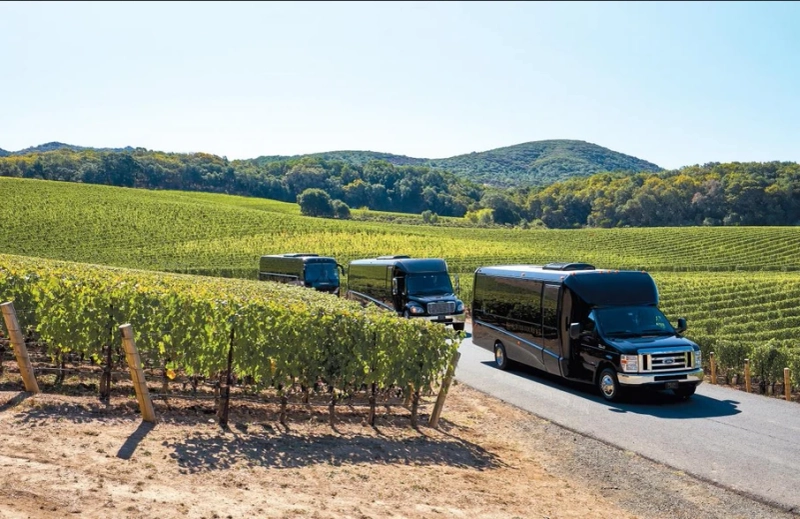Exploring Scenic Vineyards with Wineries Tours in Cashiers