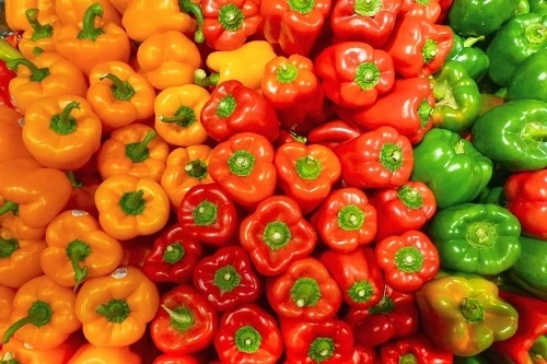Can guinea pigs eat bell peppers?