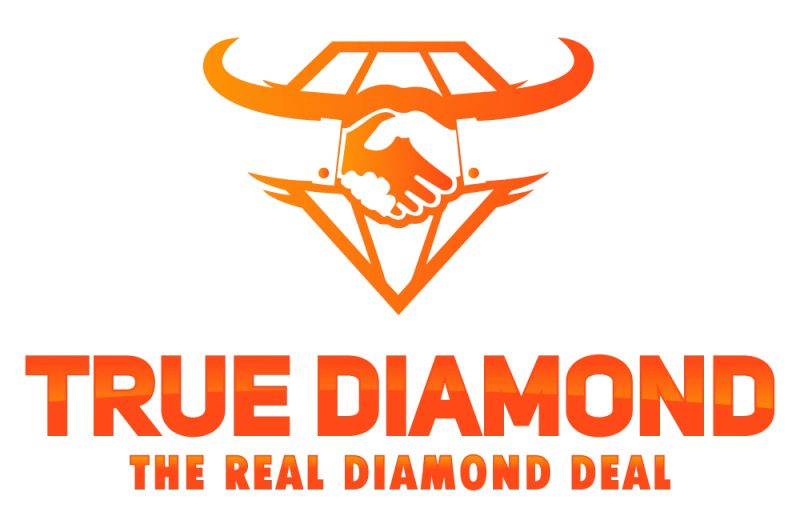 True Diamond: New York SEO Services | NYC SEO & Long Island SEO Company