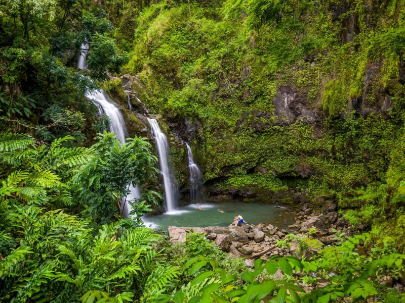 The Best Waterfalls on the Road to Hana: A Scenic Adventure with Stardust Hawaii